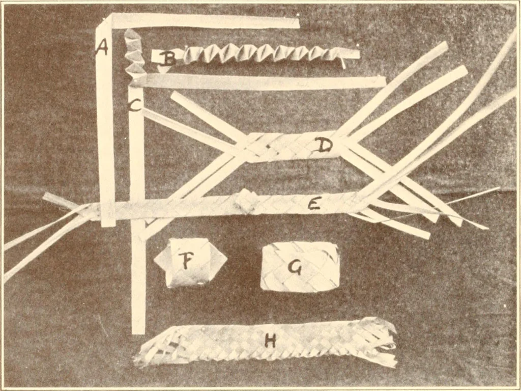 An illustration from Indian basketry, and How to make Indian and other baskets, 1903, leaf 323