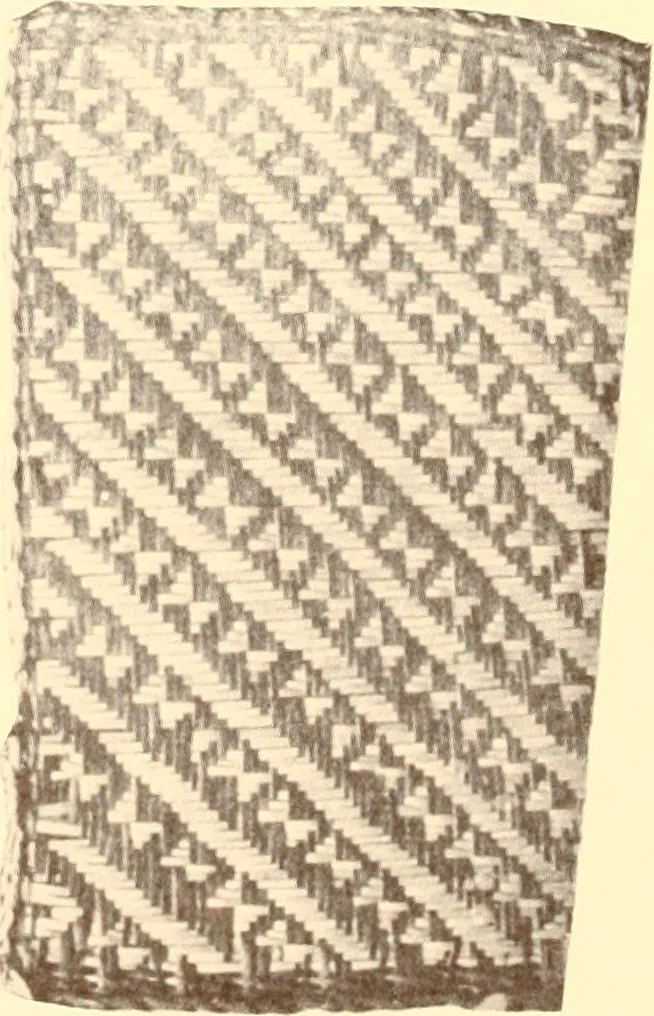An illustration from Indian basketry, and How to make Indian and other baskets, 1903, leaf 323
