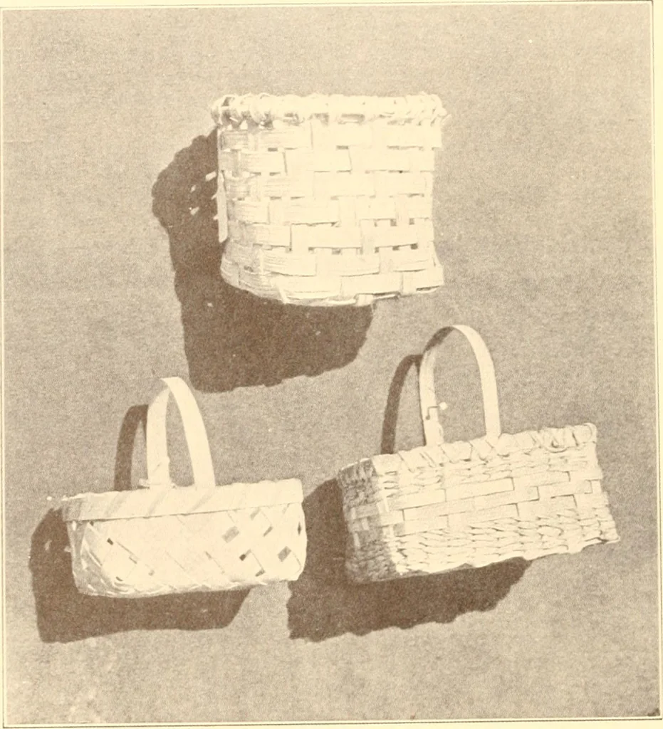 An illustration from Indian basketry, and How to make Indian and other baskets, 1903, leaf 327
