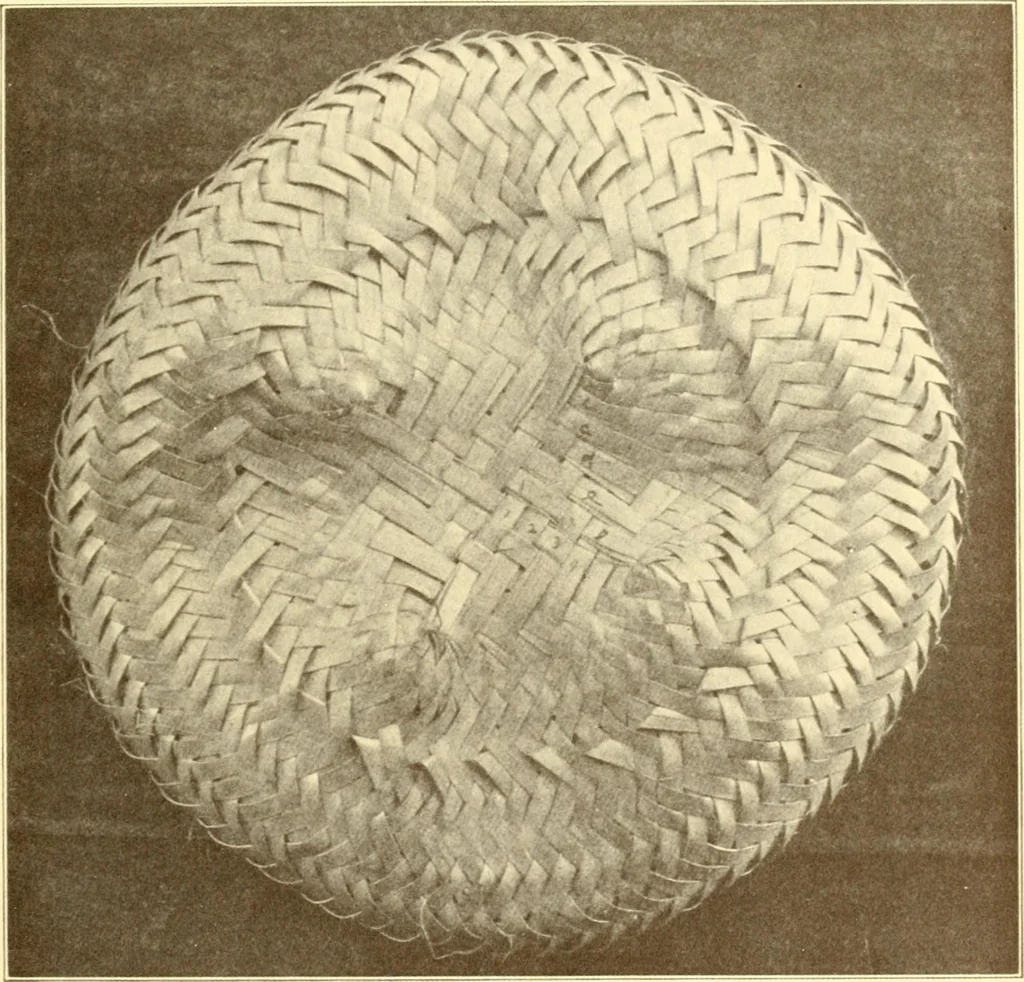 An illustration from Indian basketry, and How to make Indian and other baskets, 1903, leaf 334