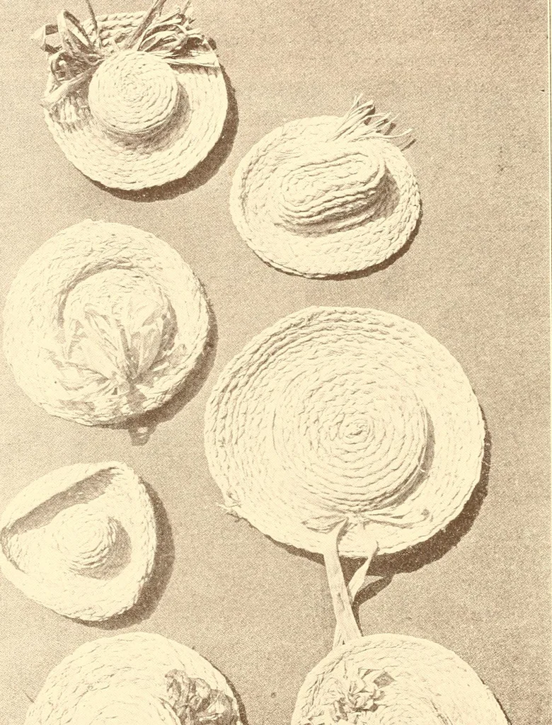 An illustration from Indian basketry, and How to make Indian and other baskets, 1903, leaf 335