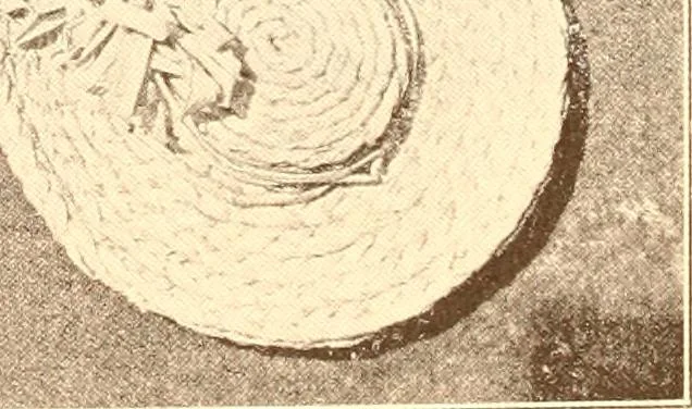An illustration from Indian basketry, and How to make Indian and other baskets, 1903, leaf 335