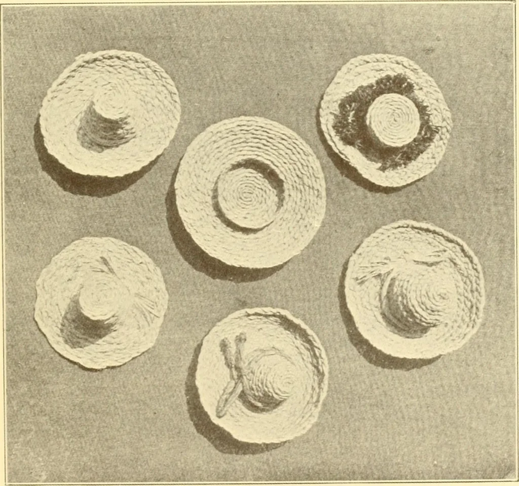 An illustration from Indian basketry, and How to make Indian and other baskets, 1903, leaf 336
