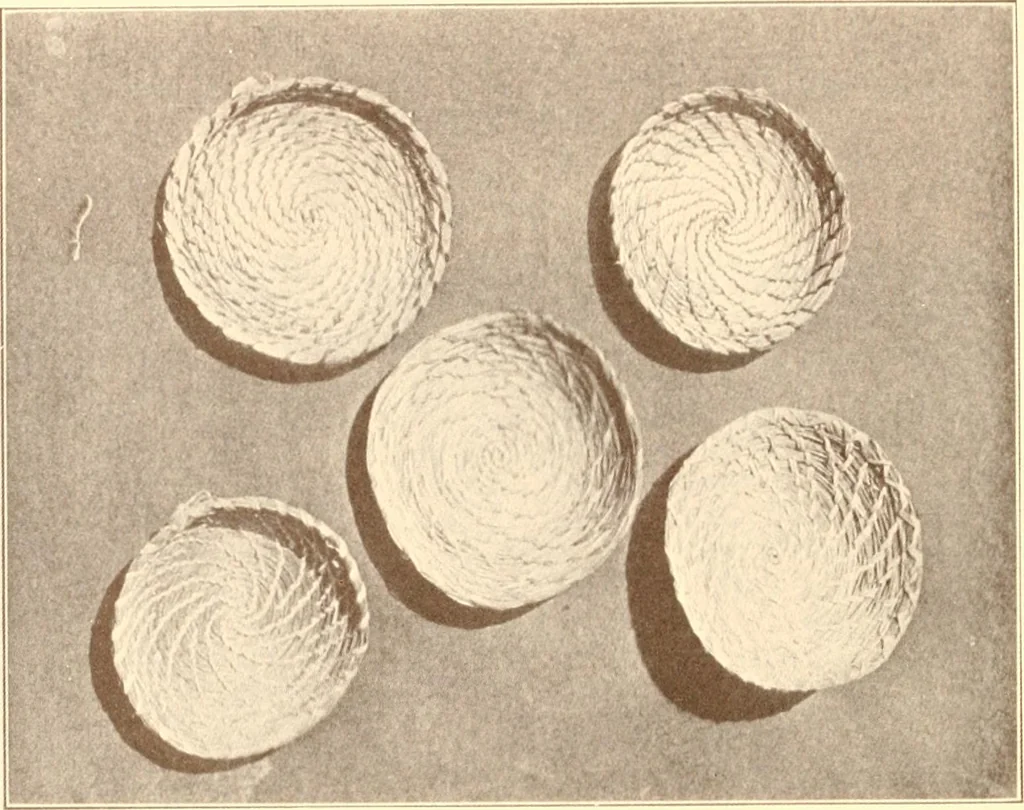An illustration from Indian basketry, and How to make Indian and other baskets, 1903, leaf 343