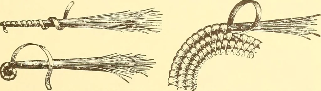 An illustration from Indian basketry, and How to make Indian and other baskets, 1903, leaf 344