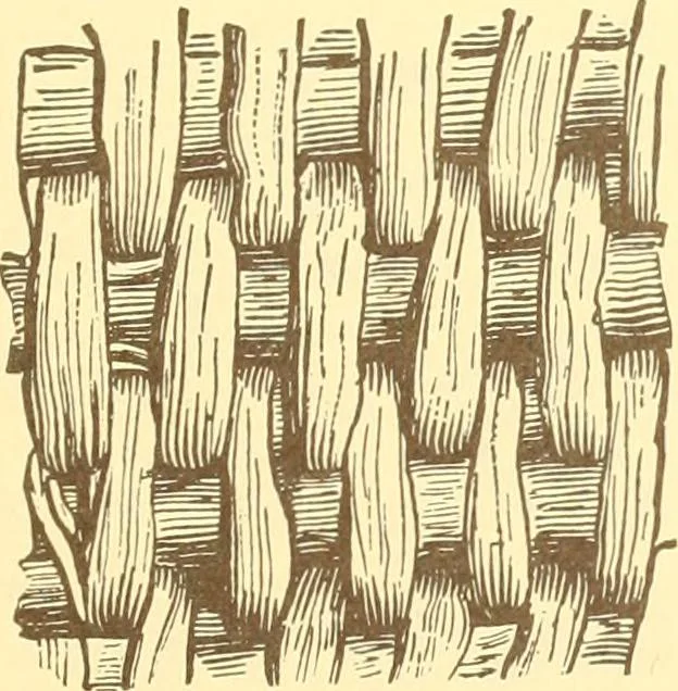 An illustration from Indian basketry, and How to make Indian and other baskets, 1903, leaf 346