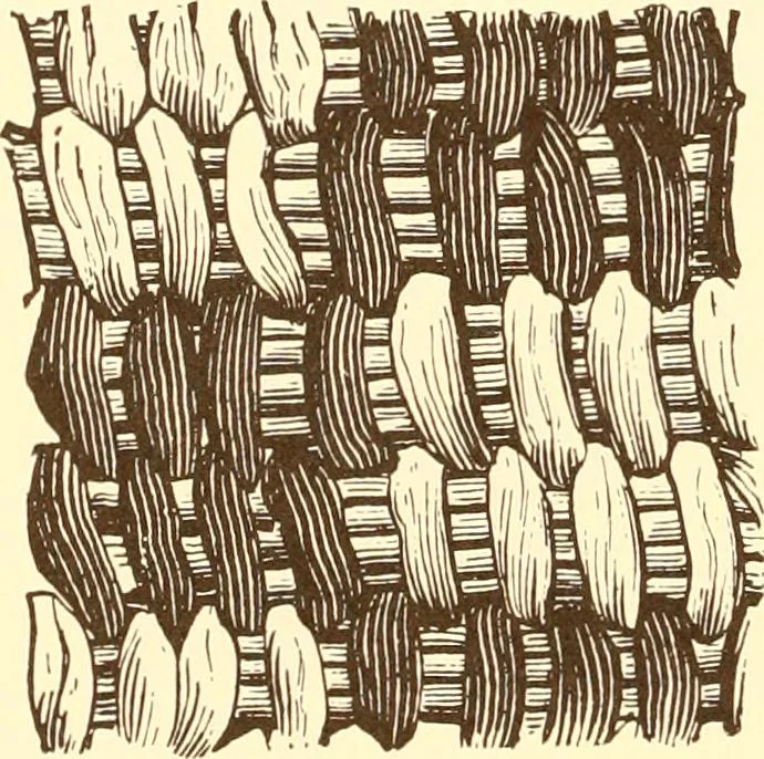An illustration from Indian basketry, and How to make Indian and other baskets, 1903, leaf 347