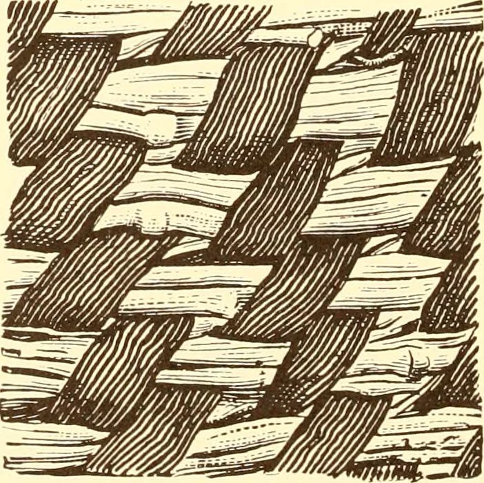 An illustration from Indian basketry, and How to make Indian and other baskets, 1903, leaf 347