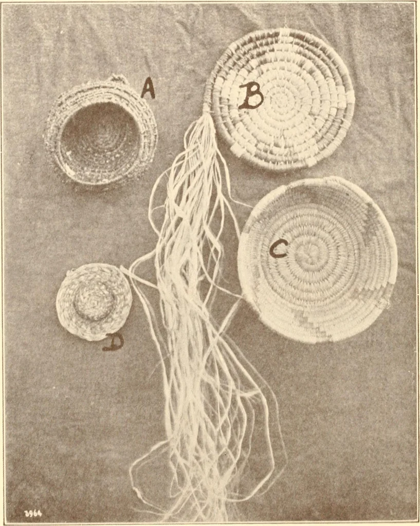 An illustration from Indian basketry, and How to make Indian and other baskets, 1903, leaf 351