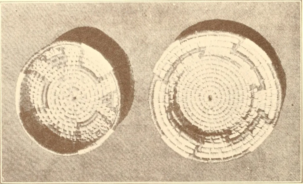 An illustration from Indian basketry, and How to make Indian and other baskets, 1903, leaf 353