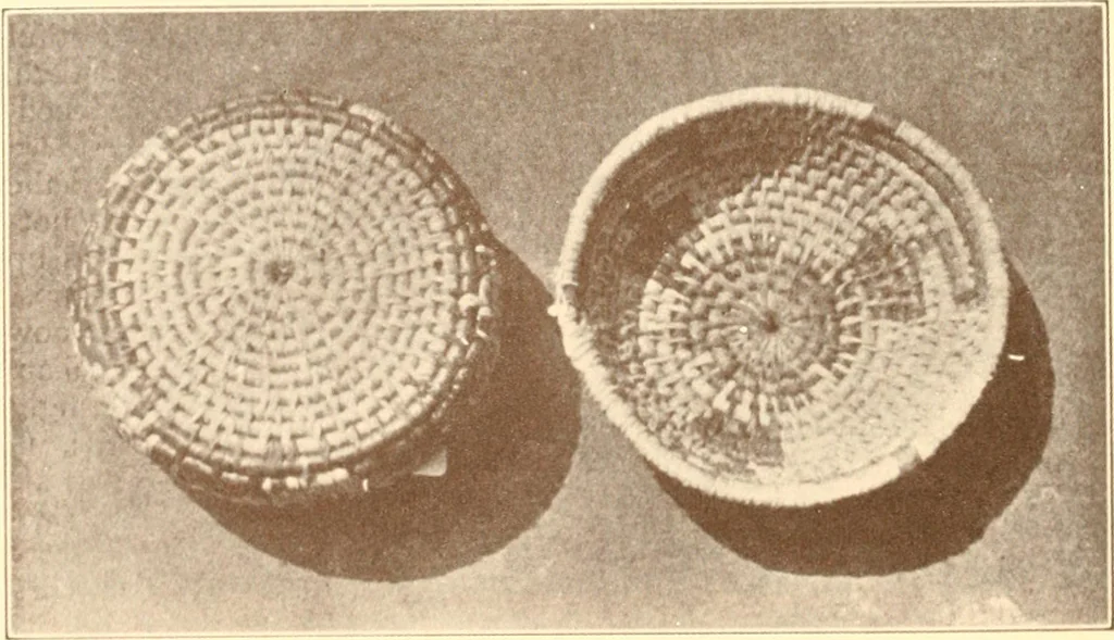 An illustration from Indian basketry, and How to make Indian and other baskets, 1903, leaf 353