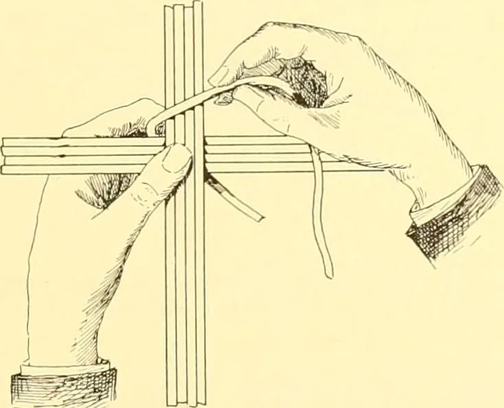 An illustration from Indian basketry, and How to make Indian and other baskets, 1903, leaf 356