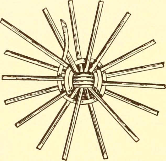 An illustration from Indian basketry, and How to make Indian and other baskets, 1903, leaf 357
