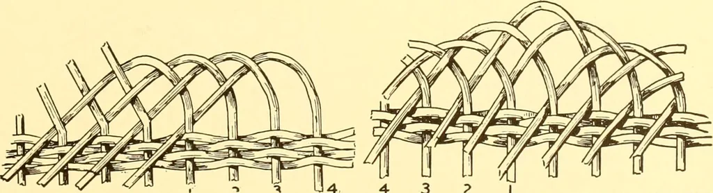 An illustration from Indian basketry, and How to make Indian and other baskets, 1903, leaf 362
