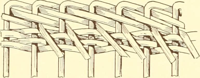An illustration from Indian basketry, and How to make Indian and other baskets, 1903, leaf 363