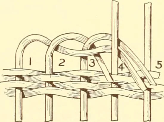 An illustration from Indian basketry, and How to make Indian and other baskets, 1903, leaf 363