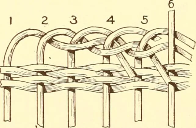 An illustration from Indian basketry, and How to make Indian and other baskets, 1903, leaf 363