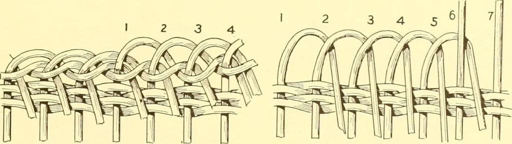 An illustration from Indian basketry, and How to make Indian and other baskets, 1903, leaf 364