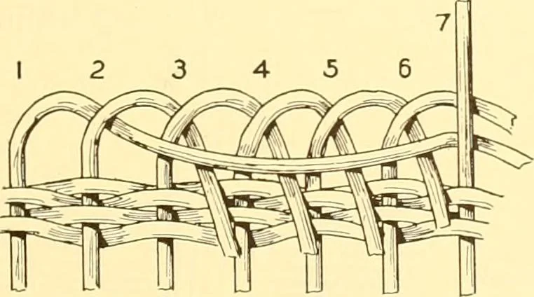 An illustration from Indian basketry, and How to make Indian and other baskets, 1903, leaf 364