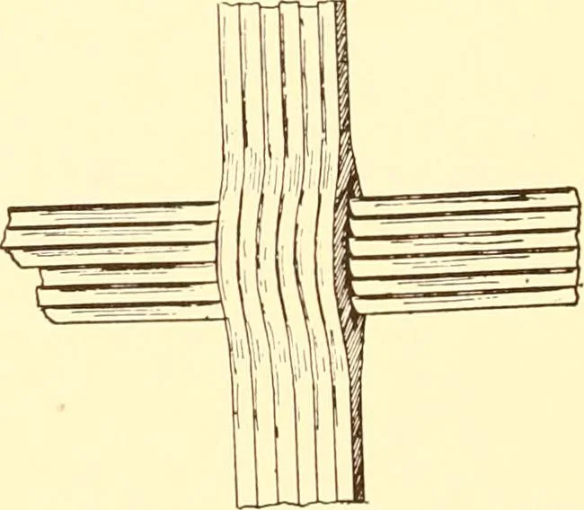 An illustration from Indian basketry, and How to make Indian and other baskets, 1903, leaf 365