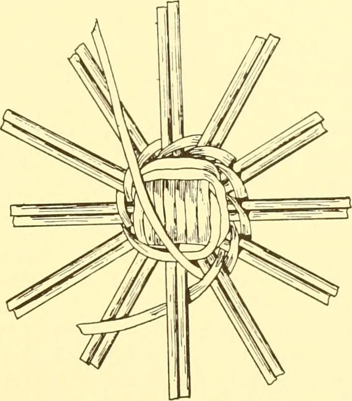 An illustration from Indian basketry, and How to make Indian and other baskets, 1903, leaf 366