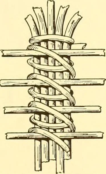 An illustration from Indian basketry, and How to make Indian and other baskets, 1903, leaf 370