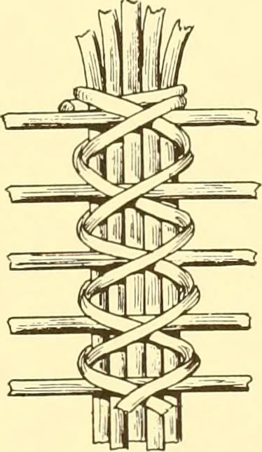 An illustration from Indian basketry, and How to make Indian and other baskets, 1903, leaf 370