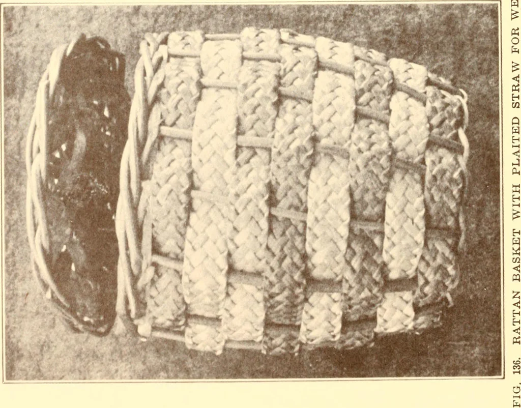 An illustration from Indian basketry, and How to make Indian and other baskets, 1903, leaf 373