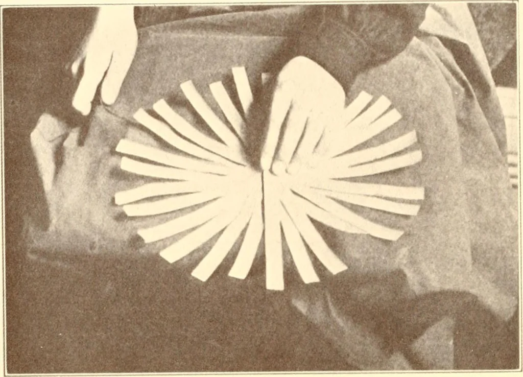 An illustration from Indian basketry, and How to make Indian and other baskets, 1903, leaf 379
