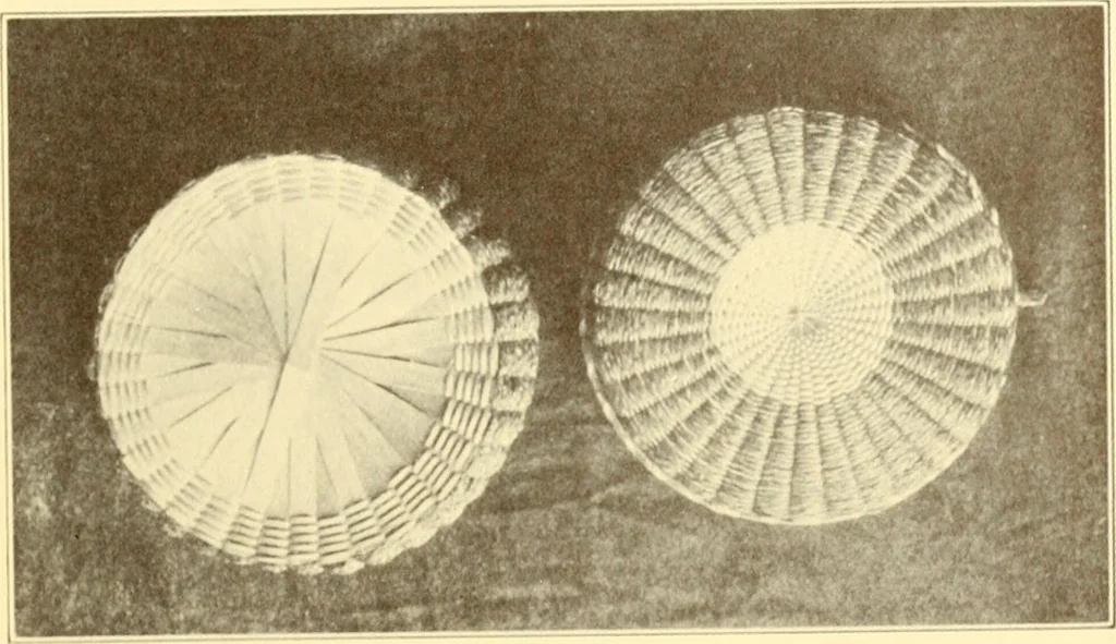 An illustration from Indian basketry, and How to make Indian and other baskets, 1903, leaf 382