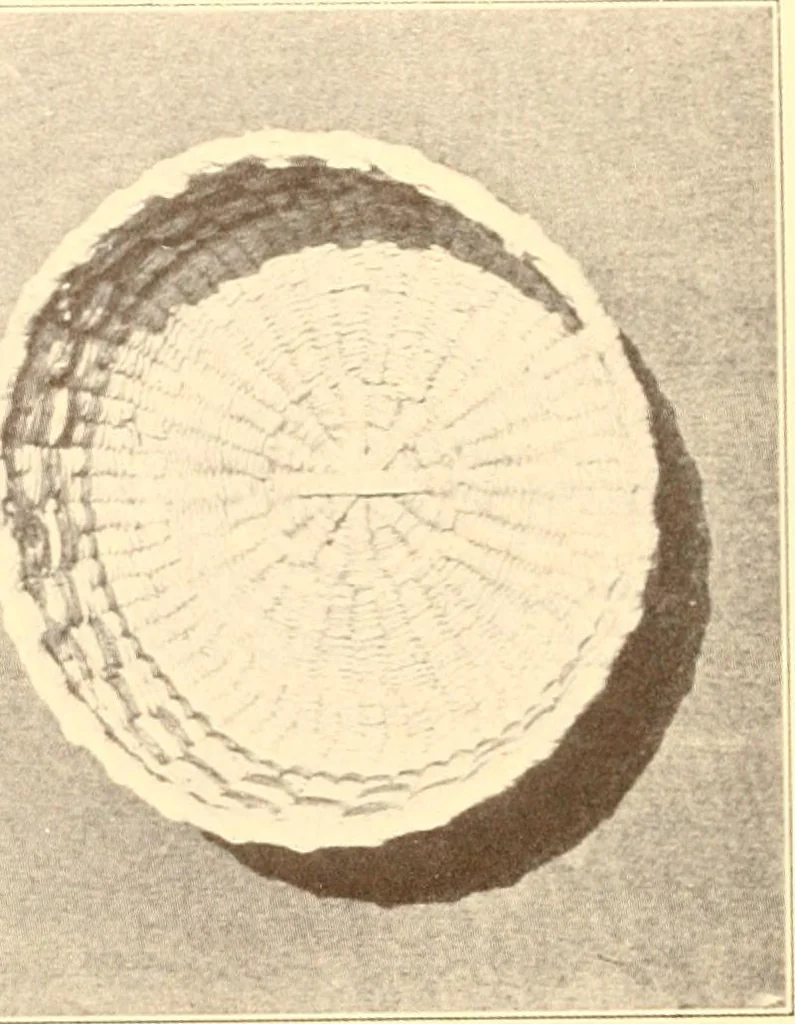 An illustration from Indian basketry, and How to make Indian and other baskets, 1903, leaf 389