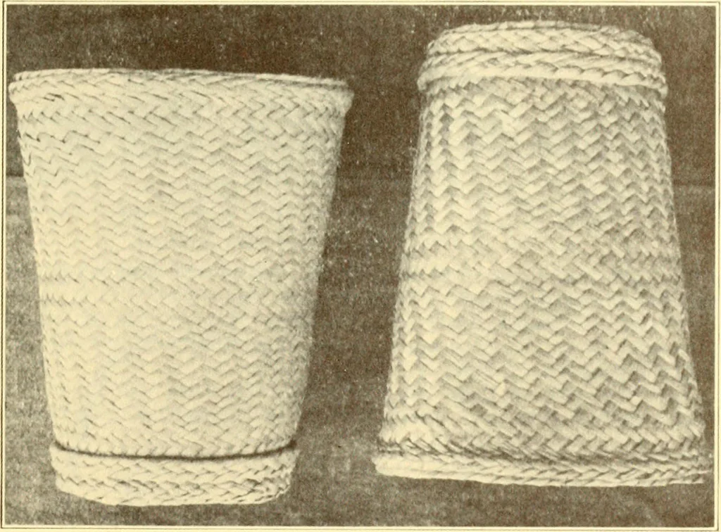 An illustration from Indian basketry, and How to make Indian and other baskets, 1903, leaf 394