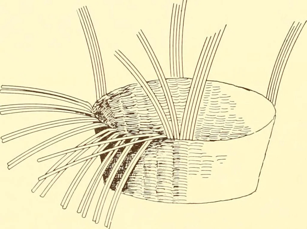 An illustration from Indian basketry, and How to make Indian and other baskets, 1903, leaf 395