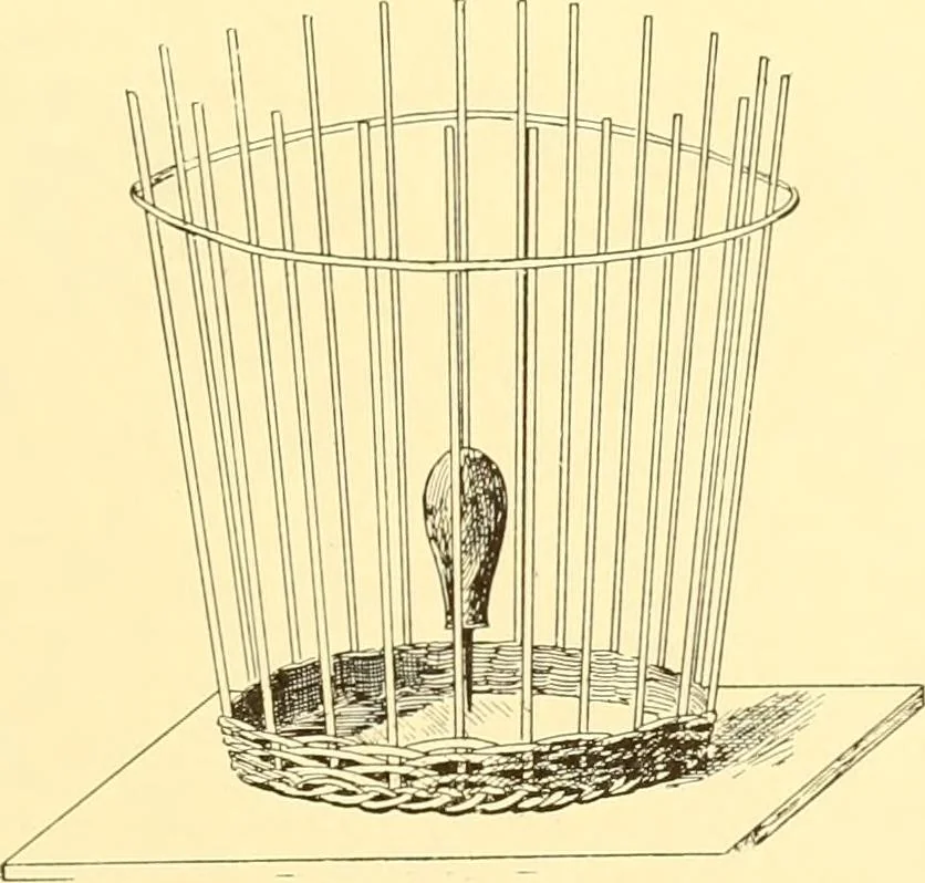 An illustration from Indian basketry, and How to make Indian and other baskets, 1903, leaf 404