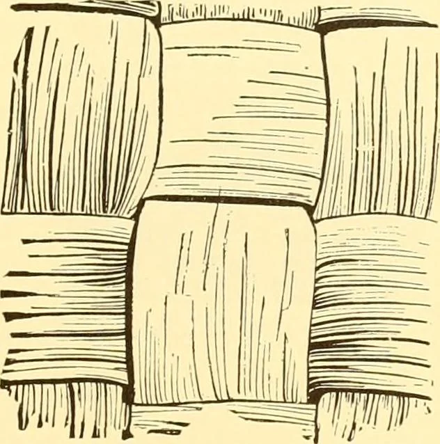 An illustration from Indian basketry, and How to make Indian and other baskets, 1903, leaf 408