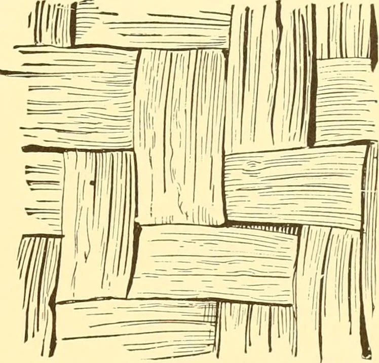 An illustration from Indian basketry, and How to make Indian and other baskets, 1903, leaf 408