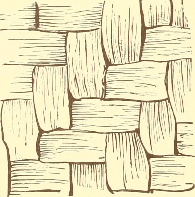 An illustration from Indian basketry, and How to make Indian and other baskets, 1903, leaf 409