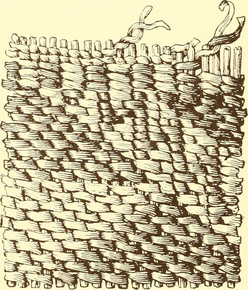 An illustration from Indian basketry, and How to make Indian and other baskets, 1903, leaf 411