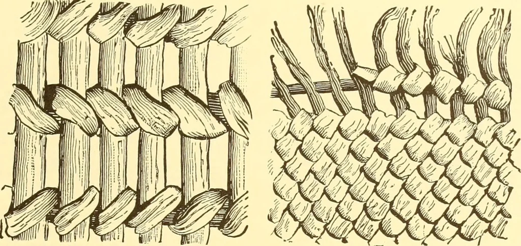 An illustration from Indian basketry, and How to make Indian and other baskets, 1903, leaf 412