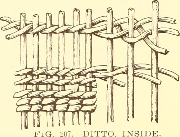 An illustration from Indian basketry, and How to make Indian and other baskets, 1903, leaf 413