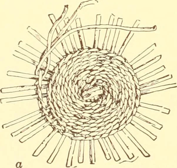 An illustration from Indian basketry, and How to make Indian and other baskets, 1903, leaf 413