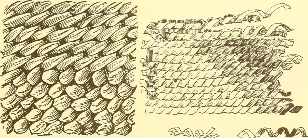 An illustration from Indian basketry, and How to make Indian and other baskets, 1903, leaf 414