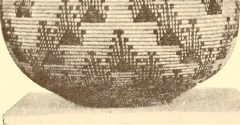 An illustration from Indian basketry, and How to make Indian and other baskets, 1903, leaf 415