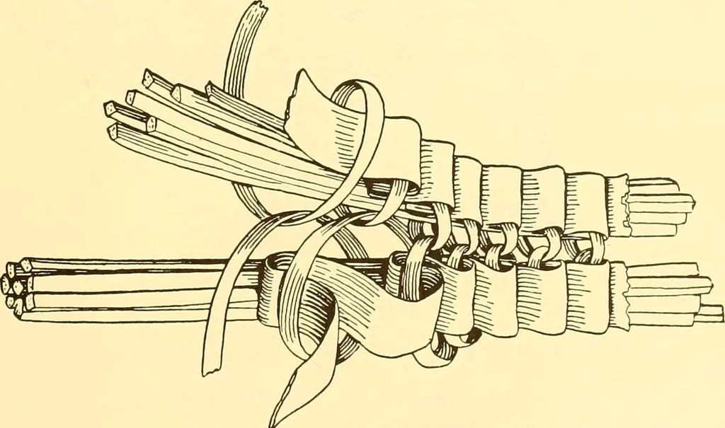 An illustration from Indian basketry, and How to make Indian and other baskets, 1903, leaf 416