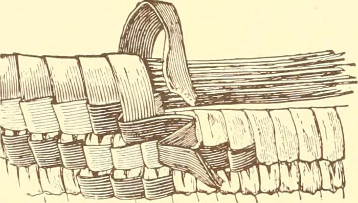 An illustration from Indian basketry, and How to make Indian and other baskets, 1903, leaf 417
