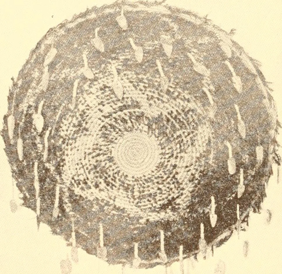 An illustration from Indian basketry, and How to make Indian and other baskets, 1903, leaf 419