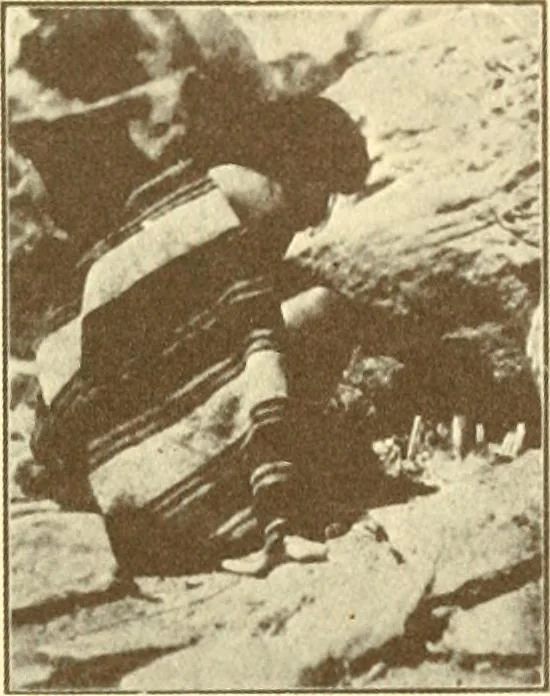 An illustration from Indian basketry, and How to make Indian and other baskets, 1903, leaf 50
