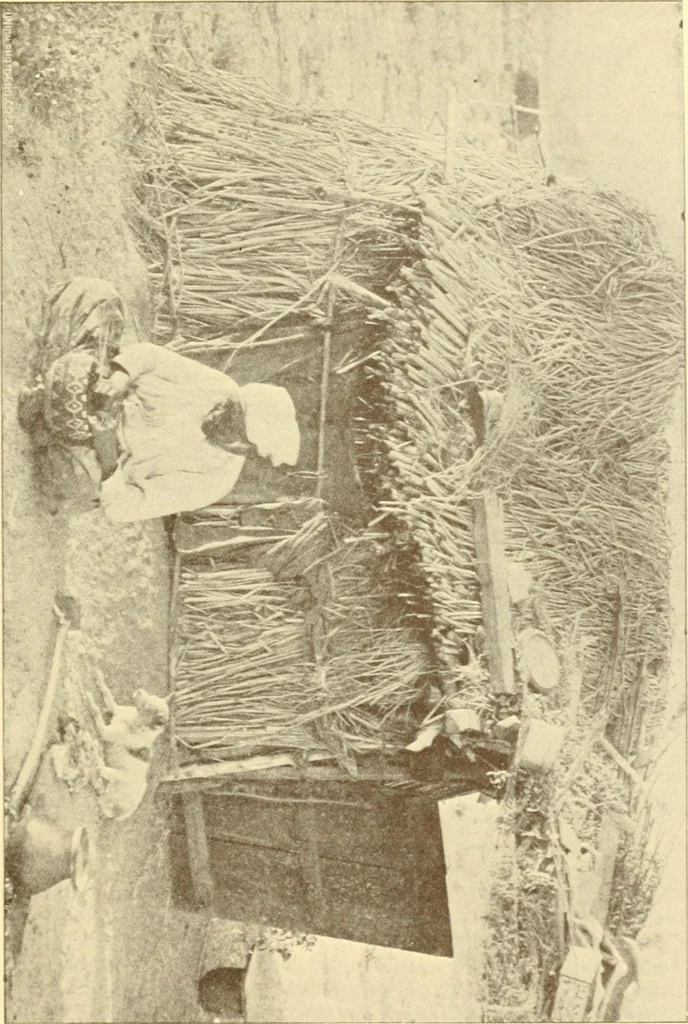 An illustration from Indian basketry, and How to make Indian and other baskets, 1903, leaf 60