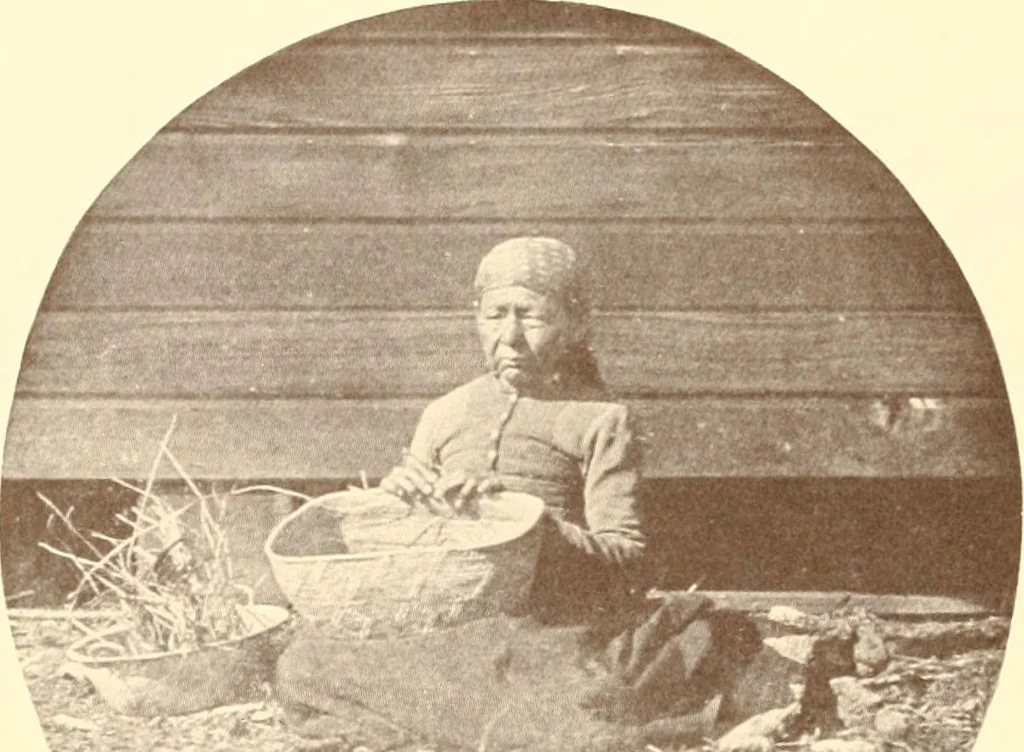 An illustration from Indian basketry, and How to make Indian and other baskets, 1903, leaf 65