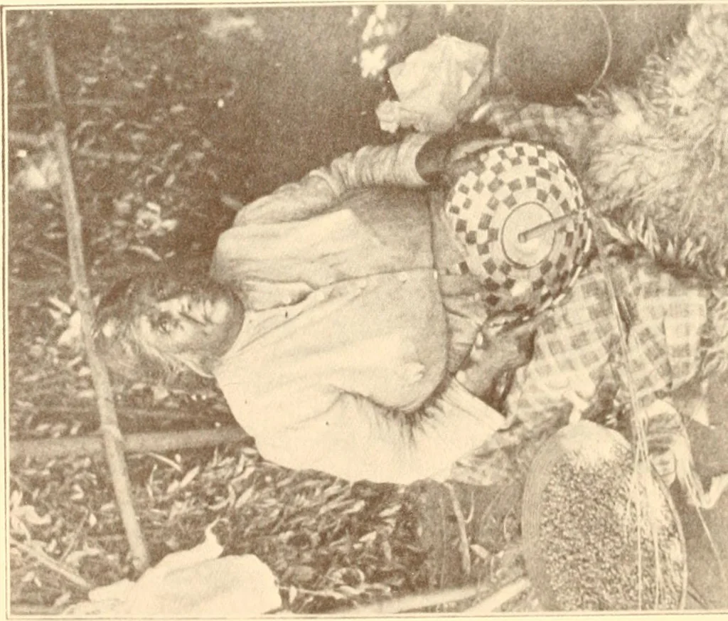 An illustration from Indian basketry, and How to make Indian and other baskets, 1903, leaf 71